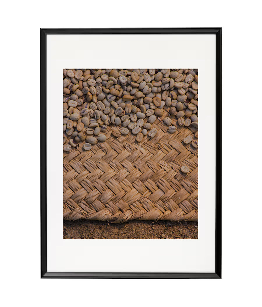 Fotografía Digital: Grano de Café Oro 2