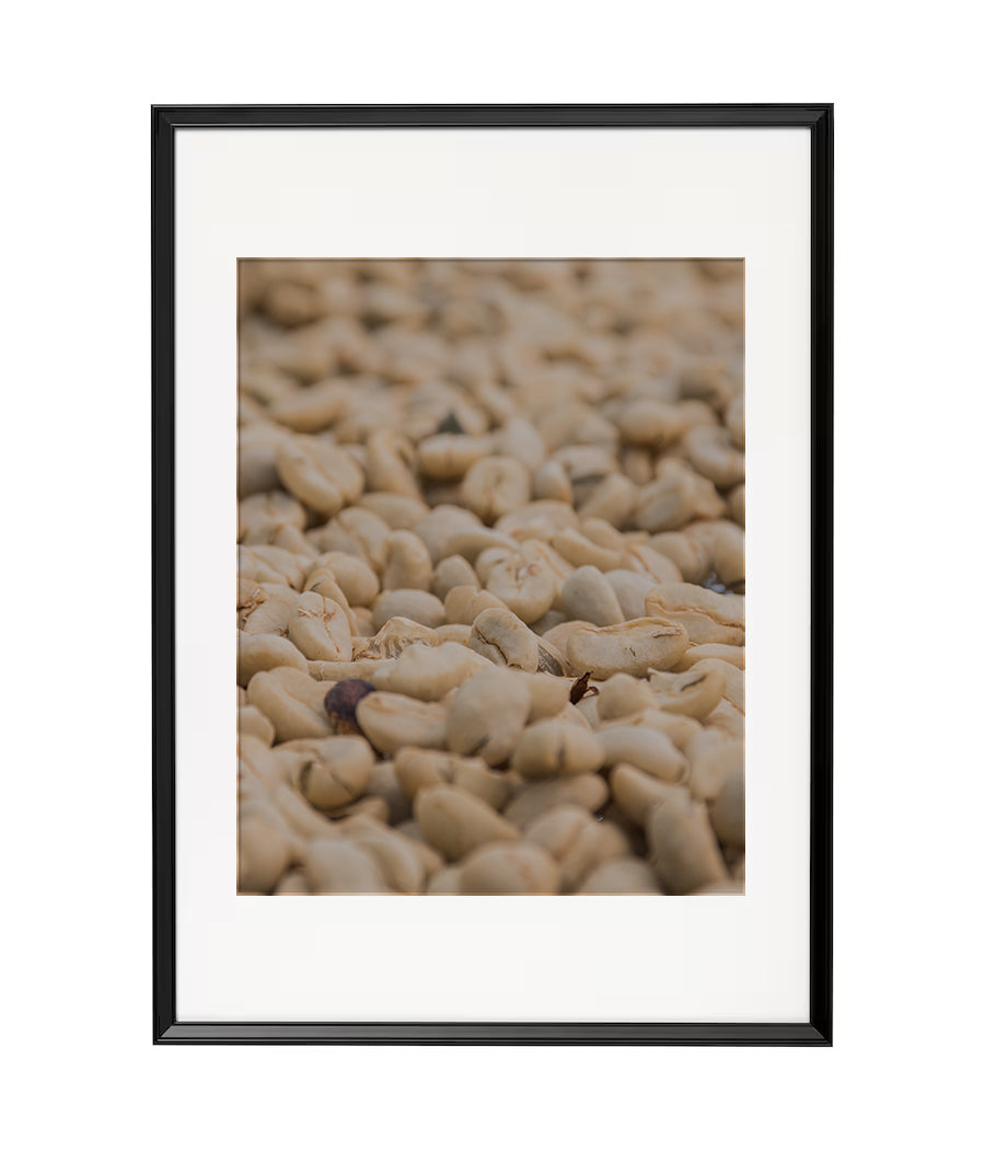 Fotografía Digital: Grano de Café Oro