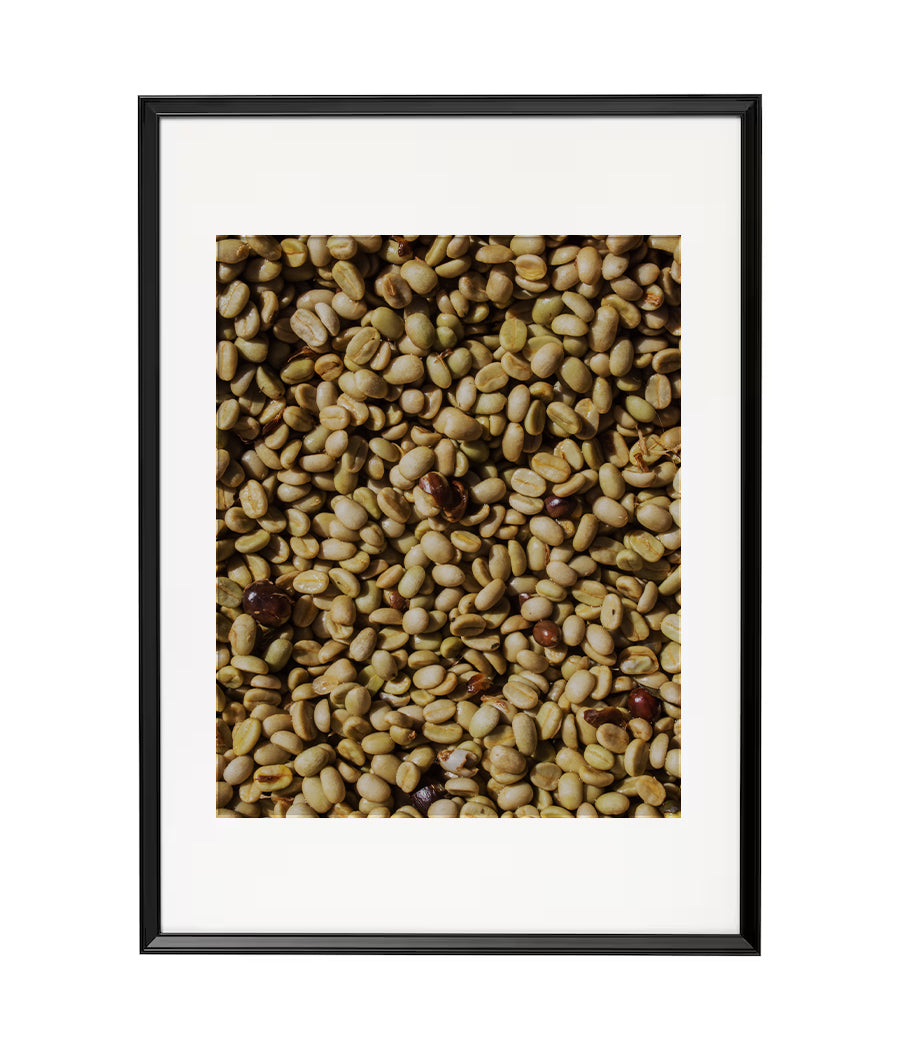 Fotografía Digital - Café Oro